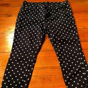 Ann Taylor navy blue "snowflake" jeans